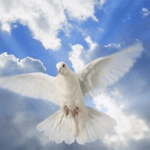 ORACIÓN AL ESPÍRITU SANTO. VEN ESPÍRITU DE DIOS Y ACOGE MI ALMA.