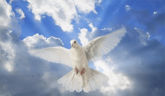 ORACIÓN AL ESPÍRITU SANTO. VEN ESPÍRITU DE DIOS Y ACOGE MI ALMA.