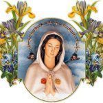 plegaria a la rosa mística