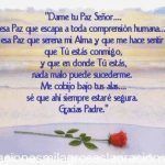 Dame tu Paz Señor...