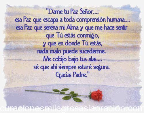 Dame tu Paz Señor...