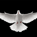 Oración al Espíritu Santo para pedirle por la pronta solución de ese problema que te Agobia