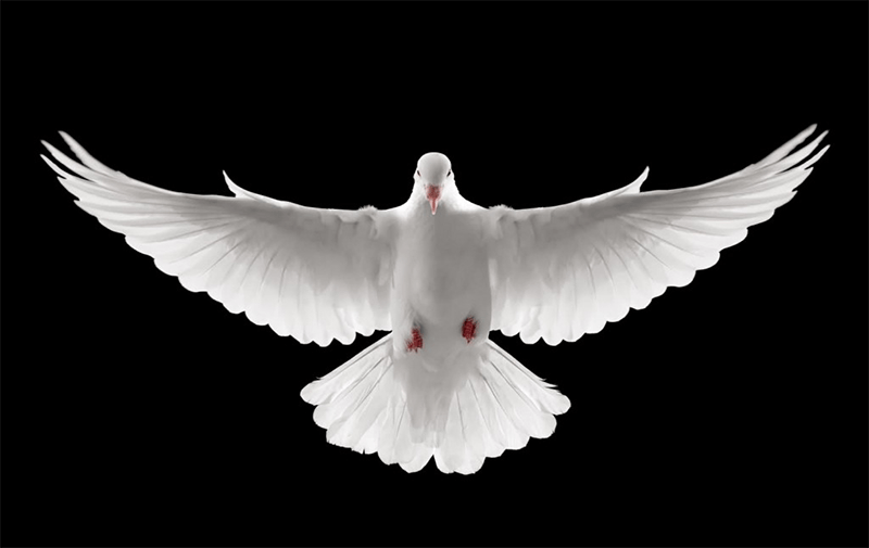 Oración al Espíritu Santo para pedirle por la pronta solución de ese problema que te Agobia