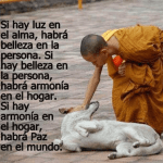 Oración para pedir Armonía en el Hogar unidad de la Familia-Rezarla cuando hayan crisis de peleas y Separación