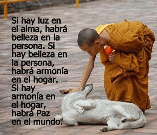 Oración para pedir Armonía en el Hogar unidad de la Familia-Rezarla cuando hayan crisis de peleas y Separación