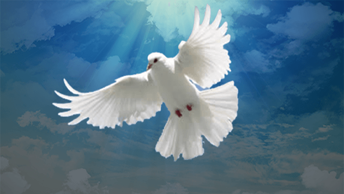 ORACIÓN AL ESPÍRITU SANTO. VEN, ESPÍRITU CREADOR