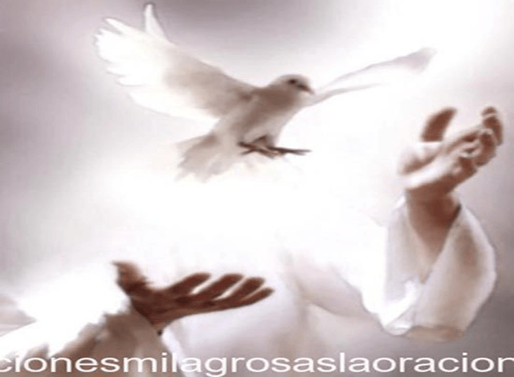 Oración diaria.