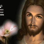 Oración por la paz y la armonía en los hogares