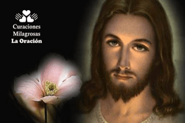 Oración por la paz y la armonía en los hogares