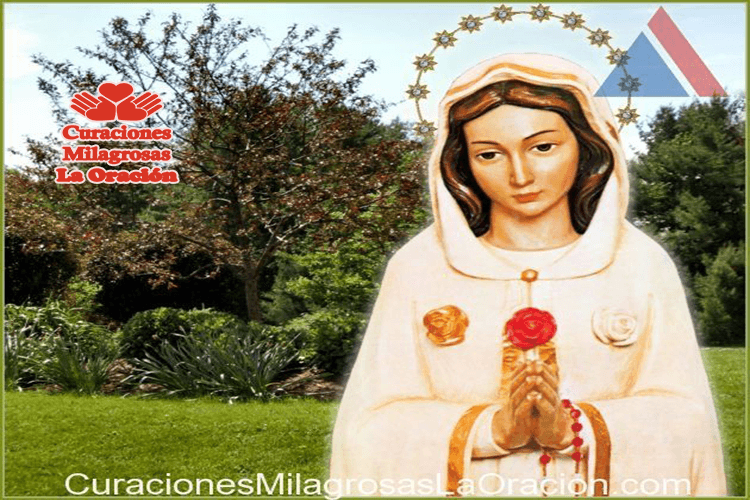 Milagrosa petición a la santísima rosa mística