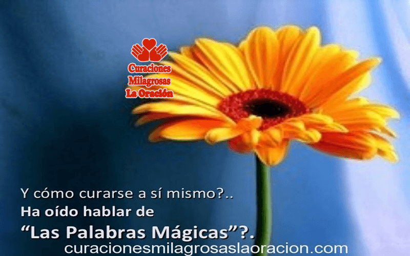 Ho'oponopono