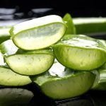 Aloe vera, la planta de la inmortalidad