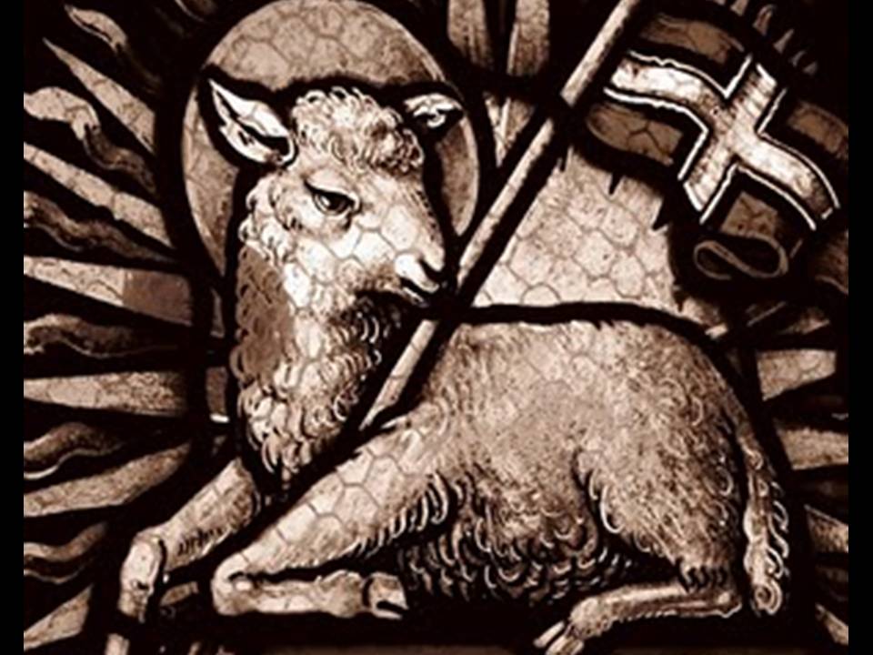 Oración milagrosa al Corderito Manso para pedir sanacíon