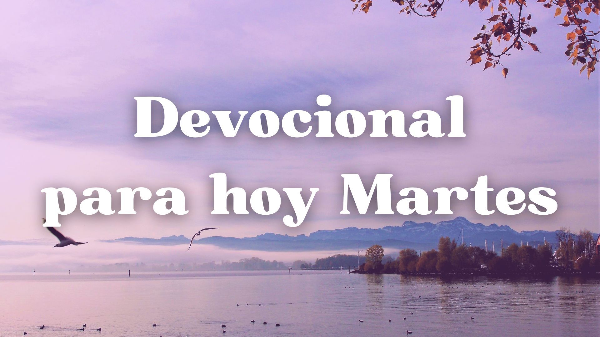 Devocional Diario para hoy Martes