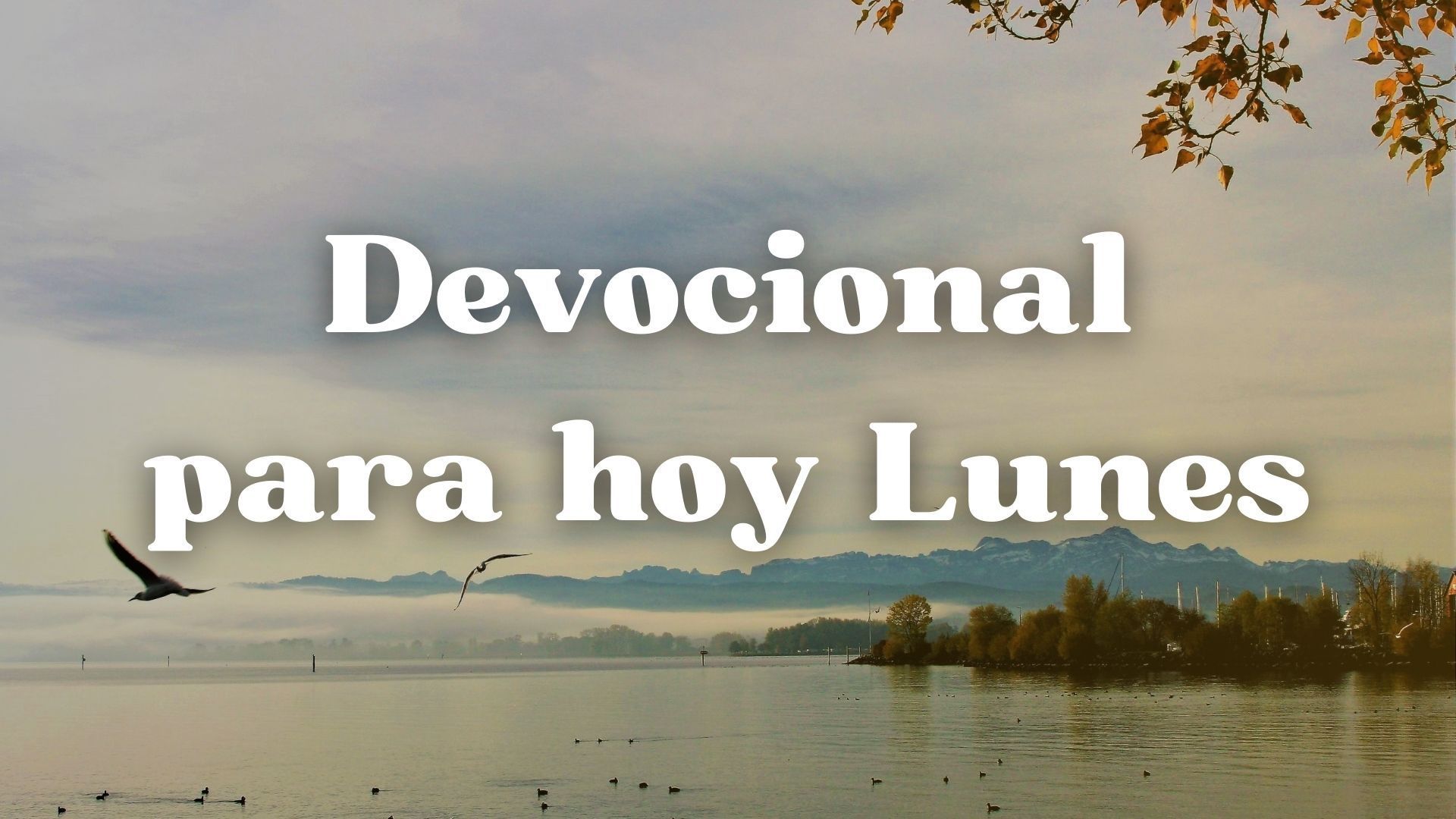 Devocional Diario para hoy Lunes