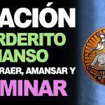 Oración al Corderito Manso
