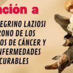 Oración a San Peregrino Pidiendo Curación del Cáncer